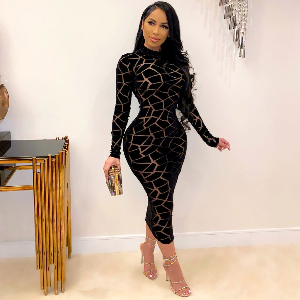 Long Sleeve Sheer Mesh Print Party Dress