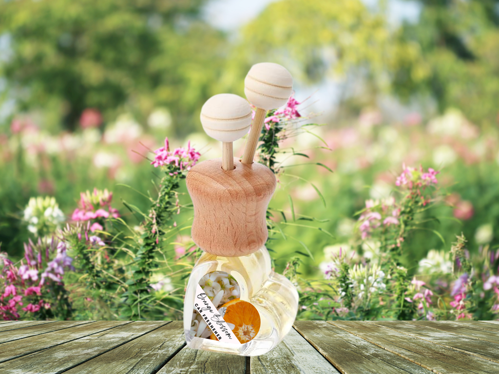 Nature & Earth Car Diffuser - Forest & Outdoor Aromatherapy for Your Vehicle