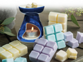 Spa & Relaxation Wax Melts - Aromatherapy Scented Wax for Home