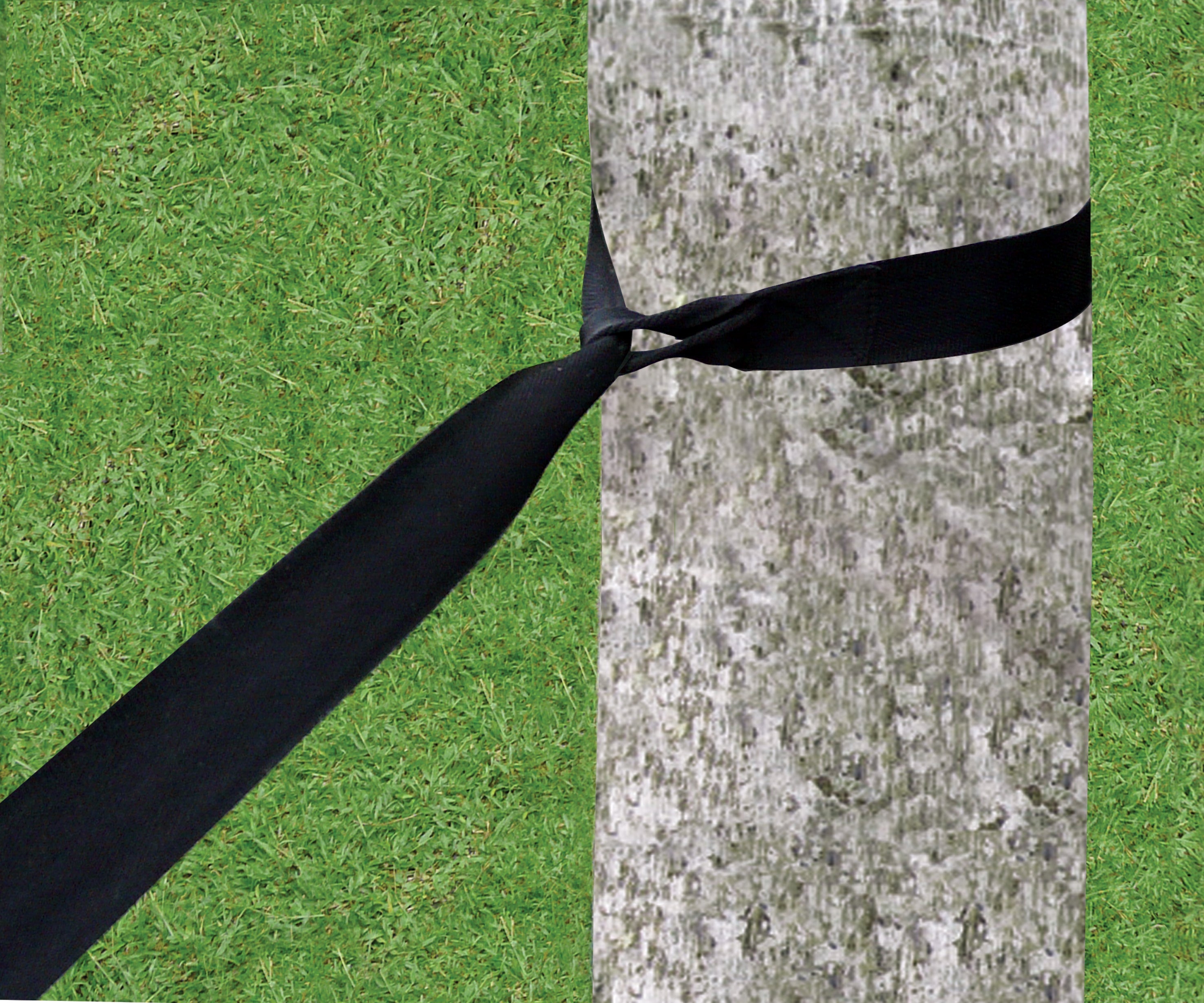 Standard Tree Straps